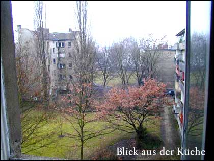 Blick aus der Küche