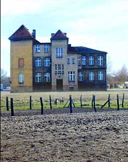 Foto-Collage: Haus mit Wiese und Schafen