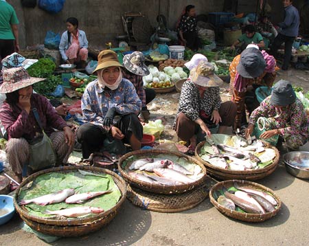 Fische auf dem Markt