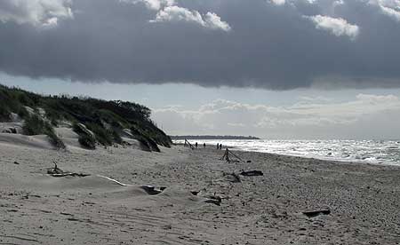 Weststrand auf Fischland-Darss