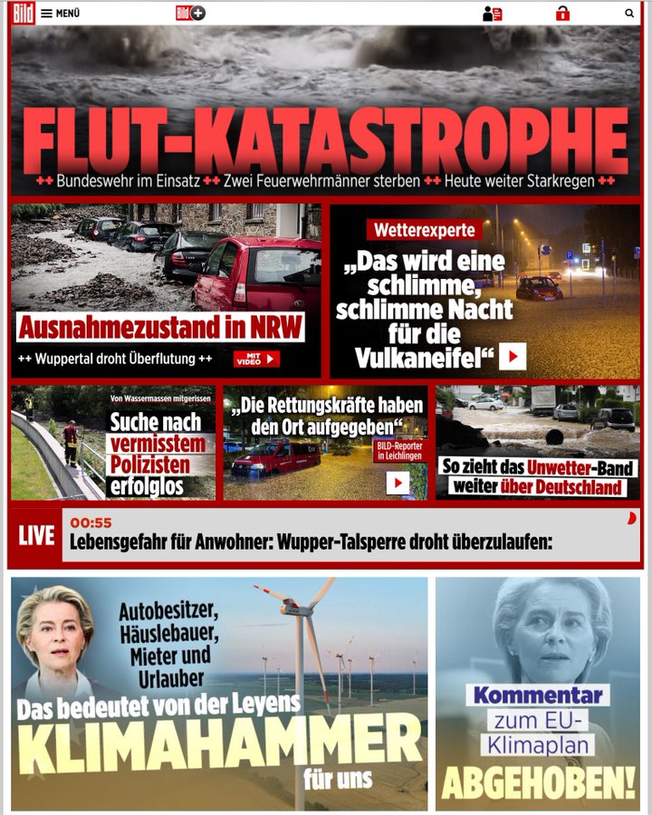 BILD-Seite