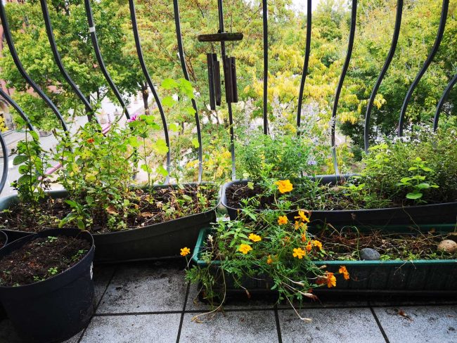 Balkon im Oktober