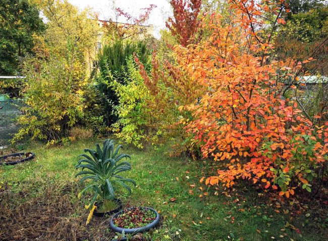 Oktober im Garten