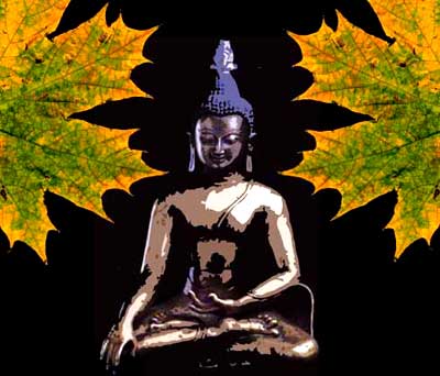Ahornbuddha