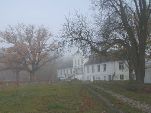Schloss Gottegabe im Nebel