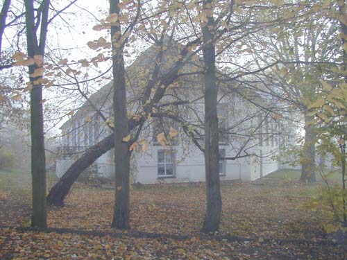 Schloss Gottegabe im Nebel