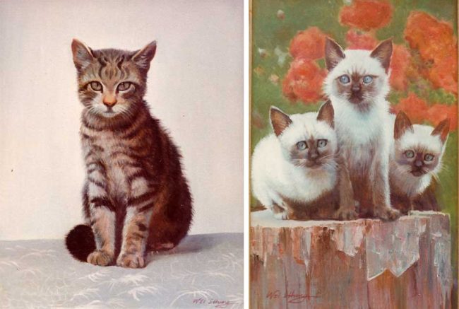 Katzen-Gemälöde