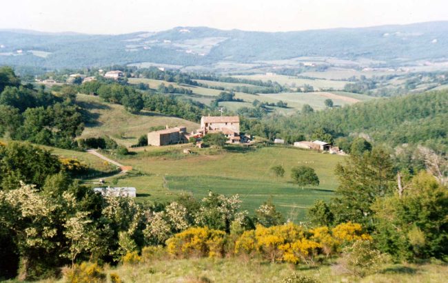 Podere Bosco