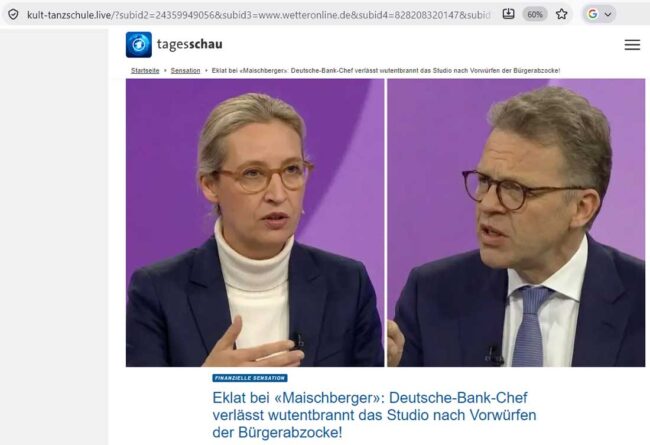 AFD-FAKE-Seite